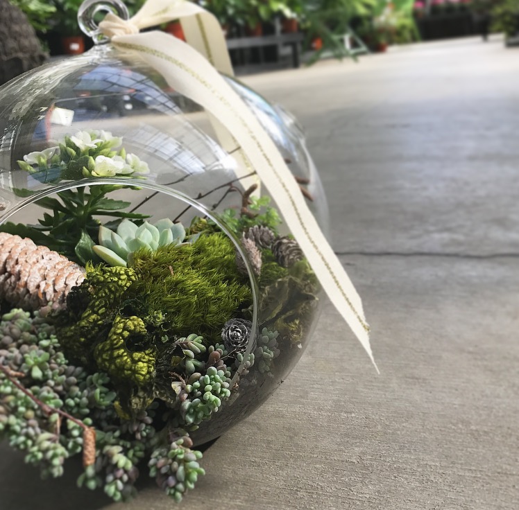 Holiday Terrarium Workshop Sun River Gardens